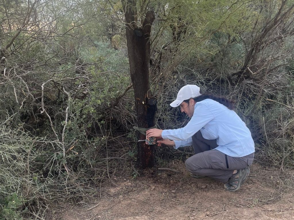 Relevamiento de mamíferos en el Chaco cordobés