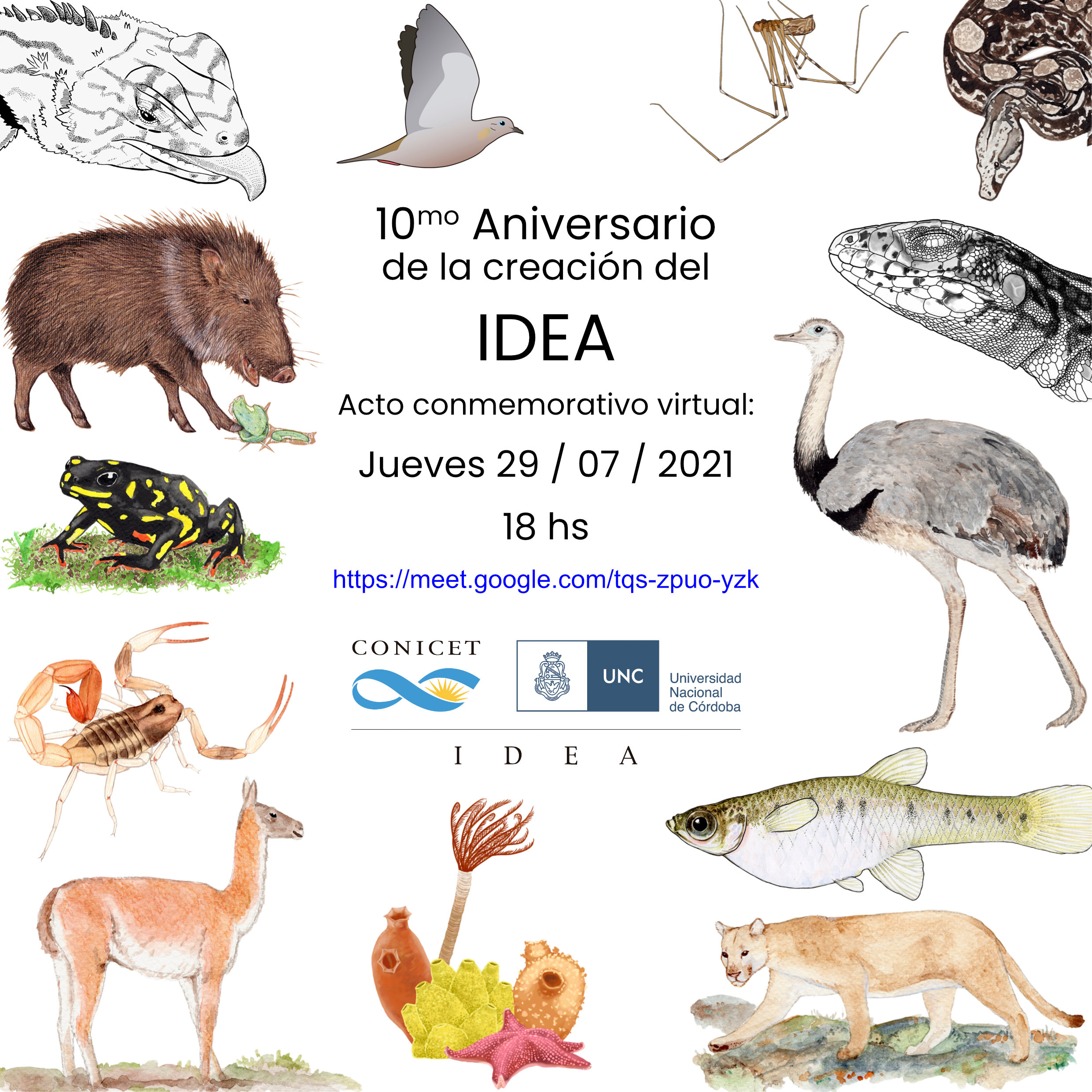 10° aniversario de la creación del Instituto de Diversidad y Ecología Animal (IDEA)