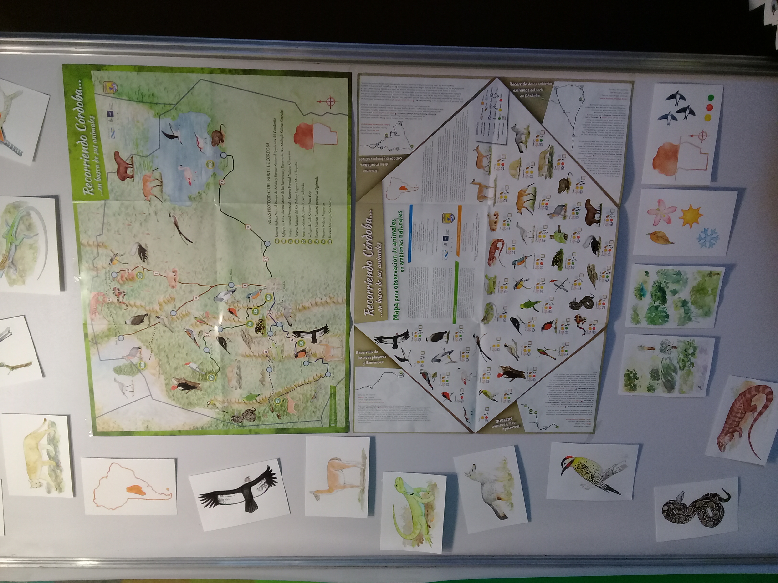 Muestra de proyectos en la jornada UNC Innova