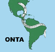 Miembro honorario de la ONTA