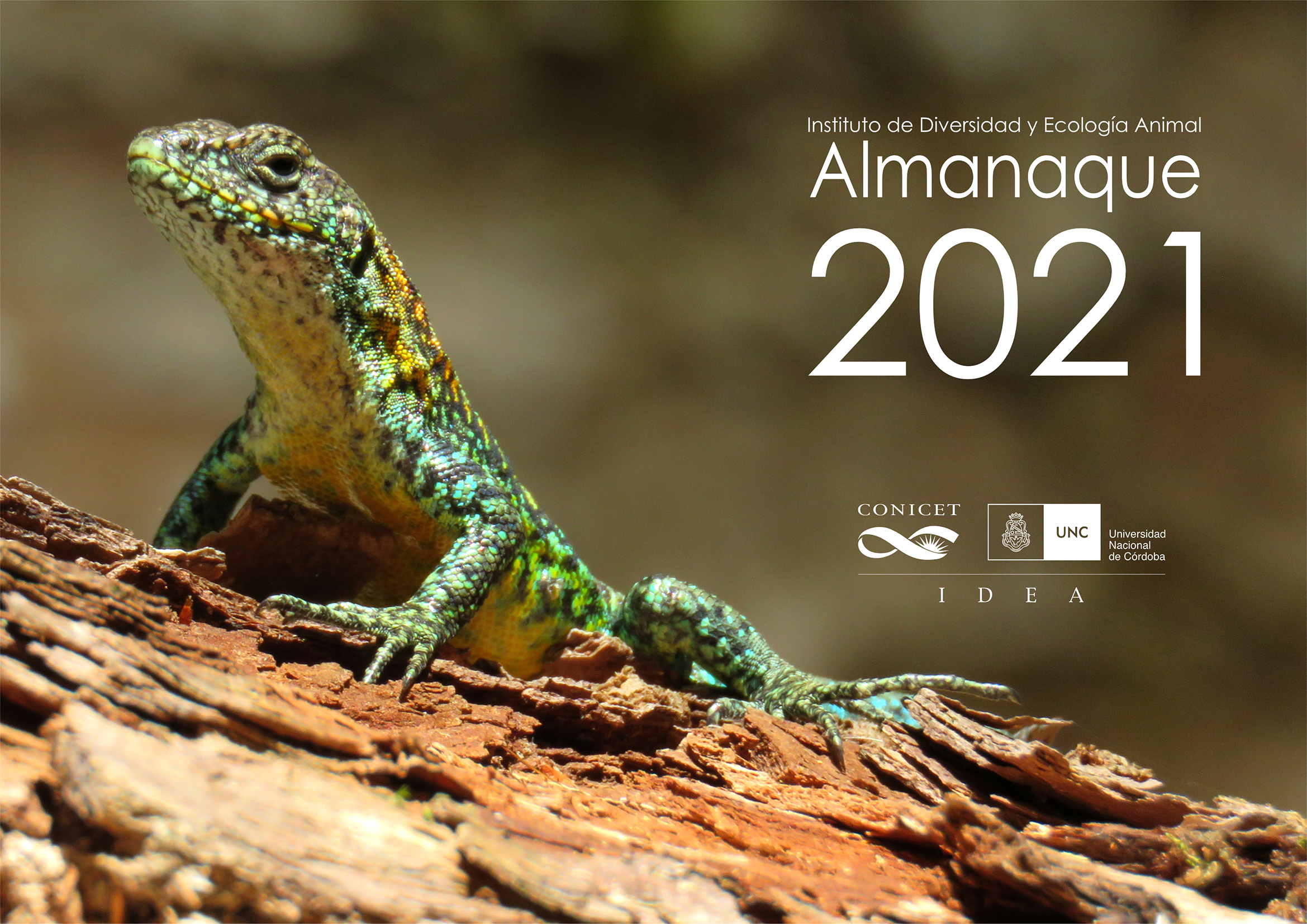 Almanaque IDEA 2021