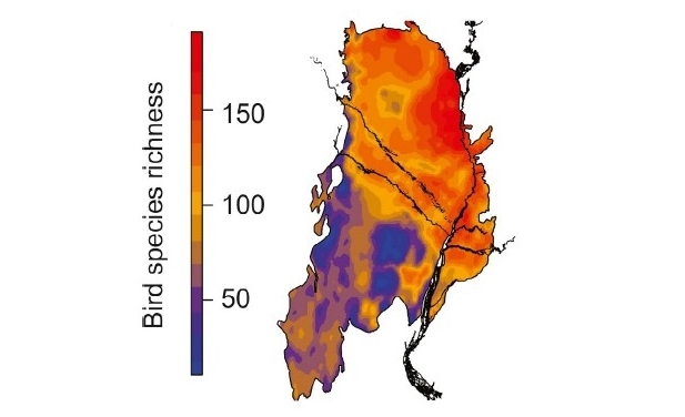 Desenredando las huellas del clima, la geografía y el uso del suelo sobre la diversidad de aves en el Gran Chaco sudamericano