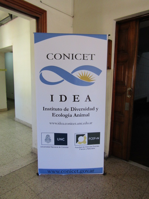 Celebración del 5º aniversario del IDEA