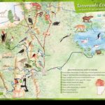 Mapa frente