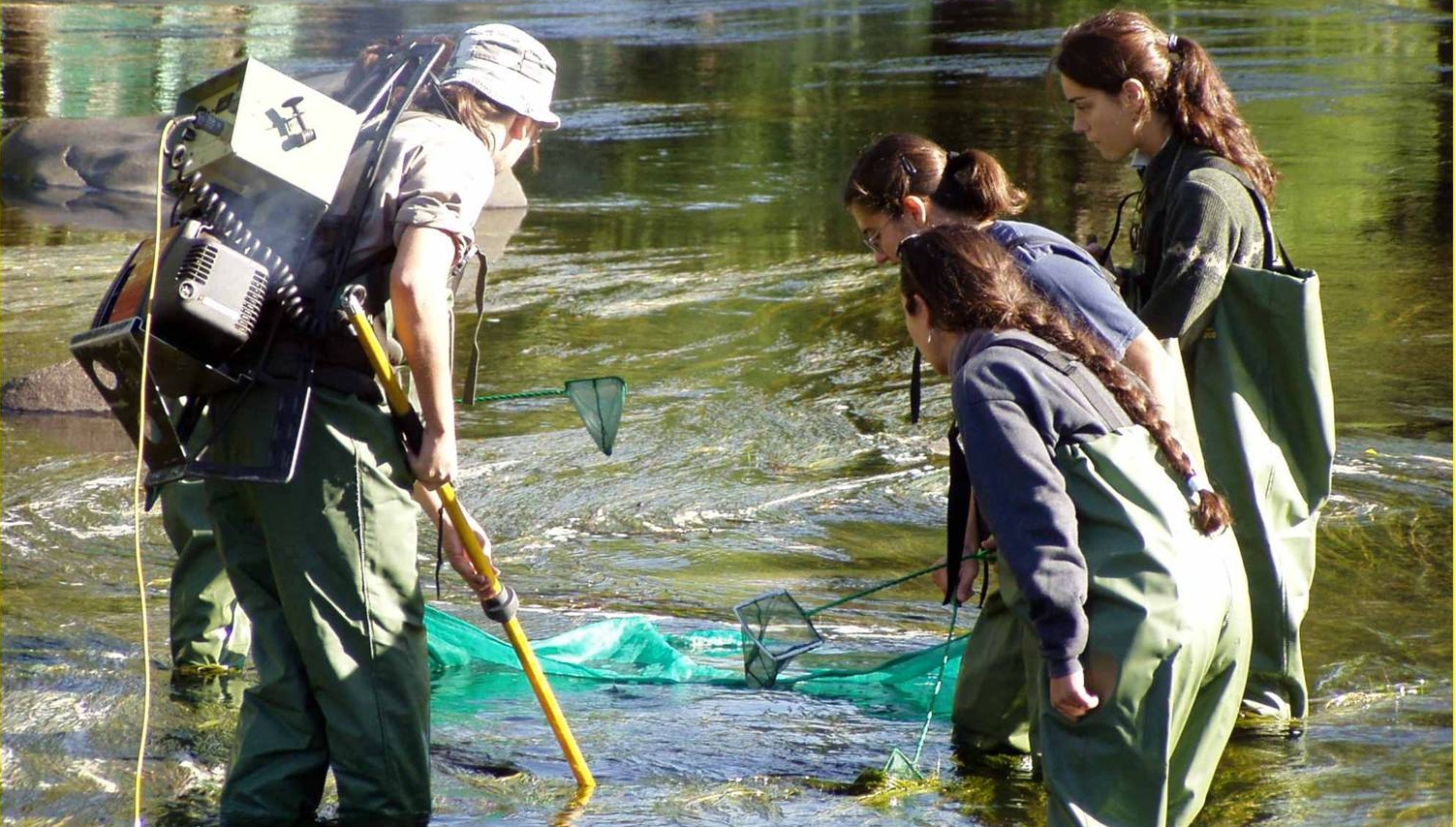 La contaminación del Río Suquía y su efecto sobre la fauna de peces