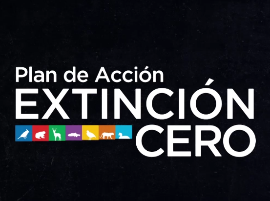 Plan Extinción Cero – Conservación del yaguareté en la región chaqueña