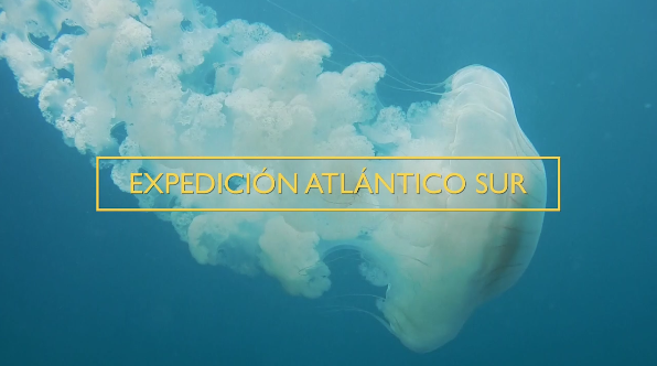Golfo San Matías –  “Expedición Atlántico Sur” Episodio 1